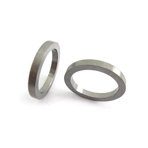 Tungsten Carbide Sealing Rings